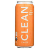 Clean Peach Yerba Mate